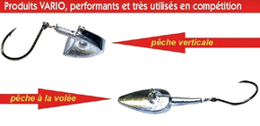 vario simplifié